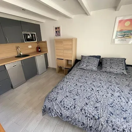 Studio En Avec Terrasse Et Parking Prive Vakantiehuis